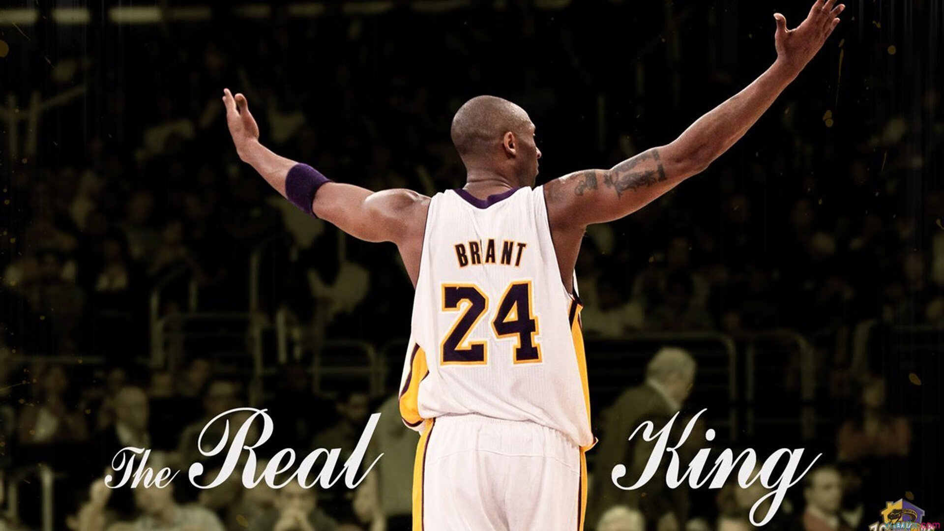  罗斯尼克斯个人集锦 